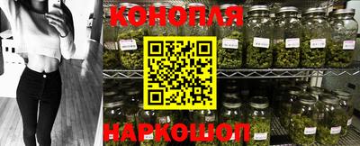 стаф Коломна